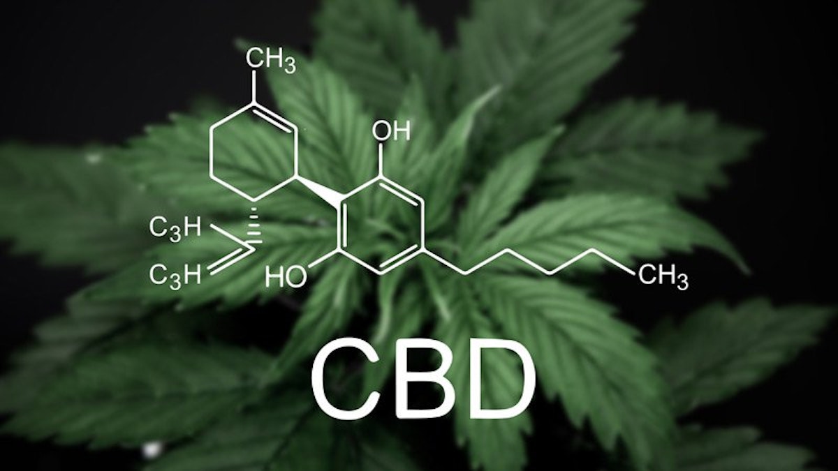 featured image - How These Companies Are Using CBD Technology To Solve Sleep Relief