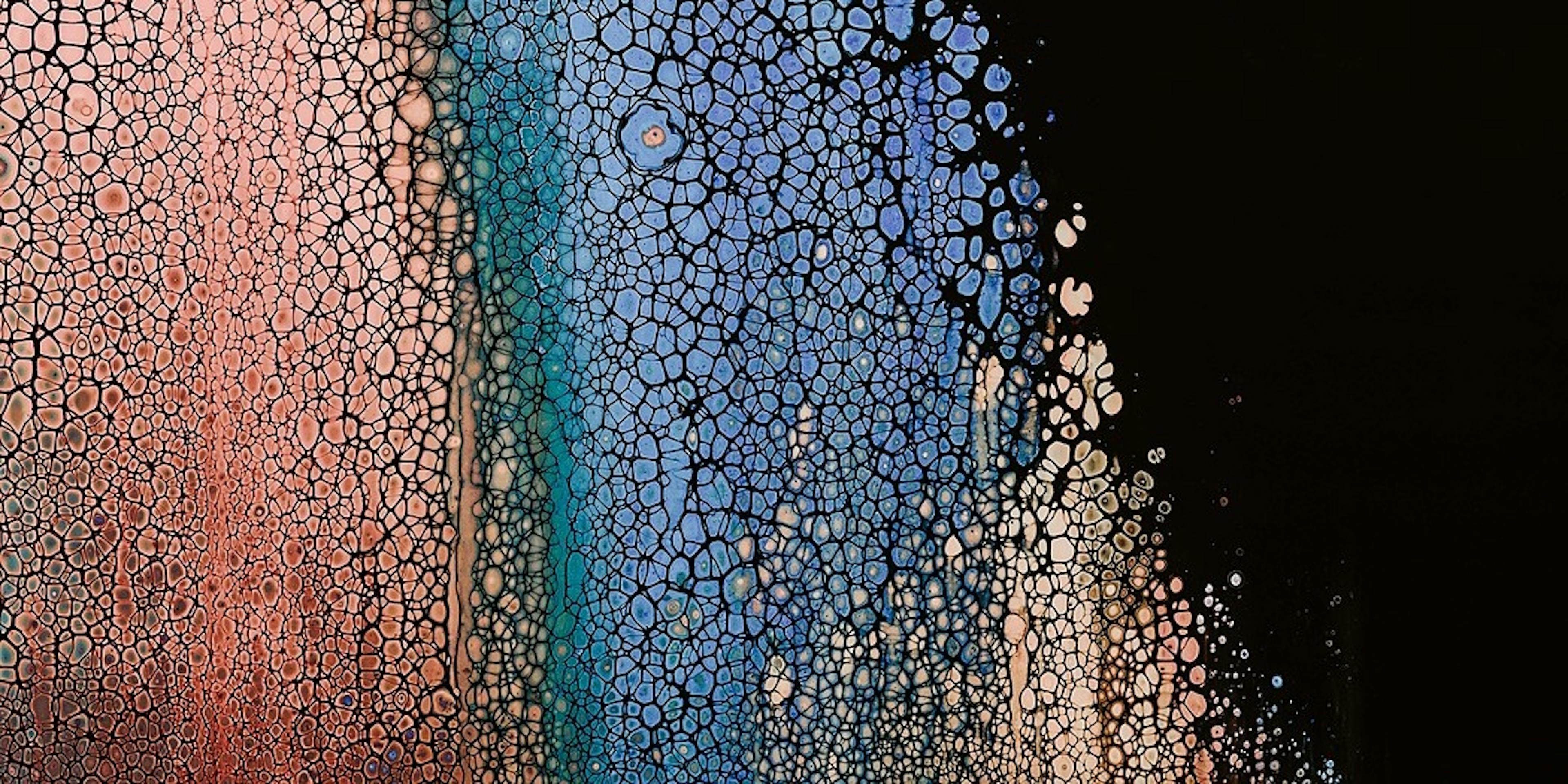 /swipe-right-for-dopamine-8s2cz300z feature image