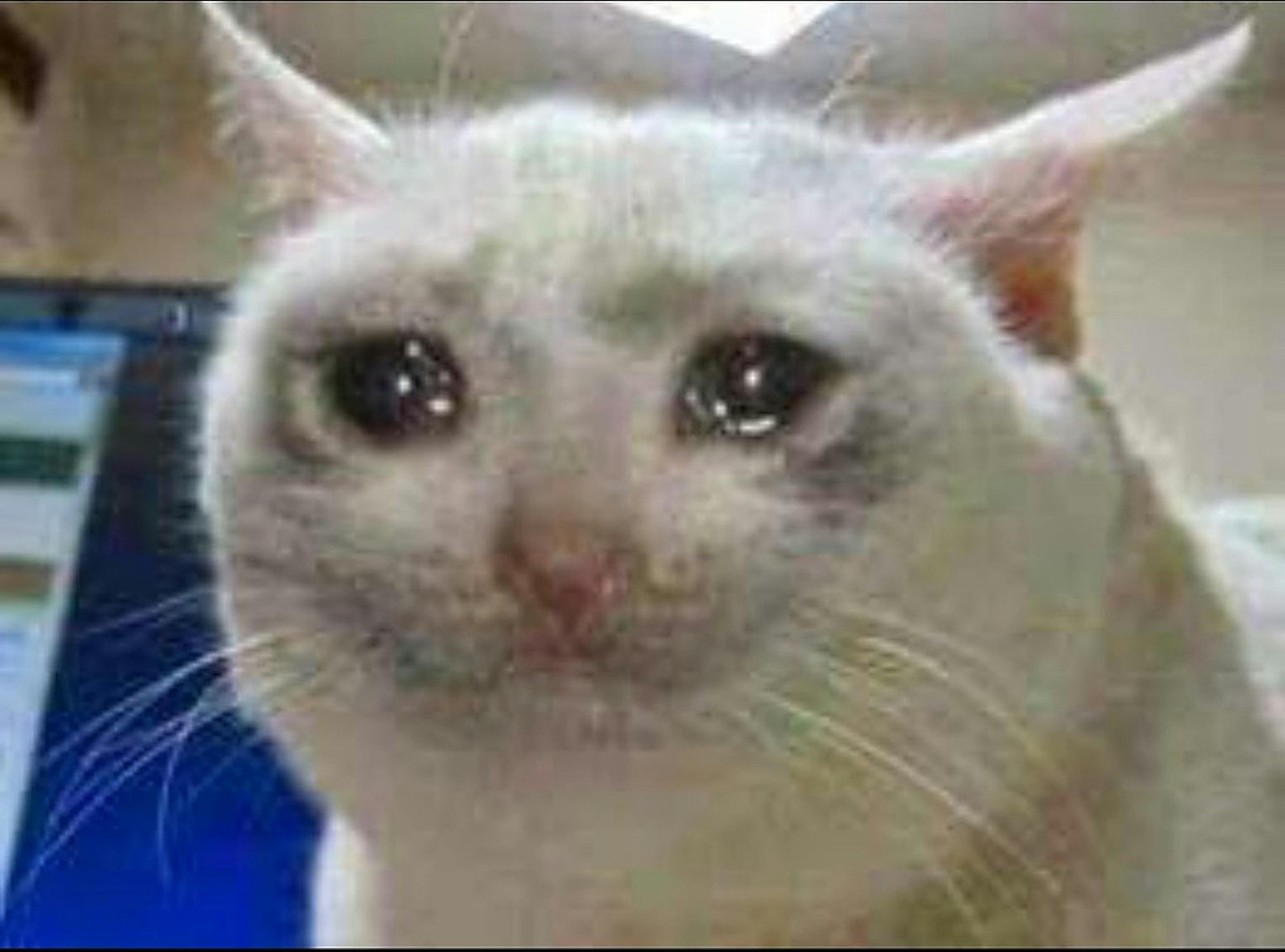 /with-the-holidays-approaching-heres-how-to-explain-tech-to-the-non-techies-in-your-life-kur32b7 feature image