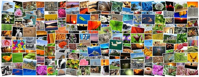 /alternative-to-aws-s3-cloud-image-storage-and-display-for-rails-on-heroku-yw8d3zos feature image