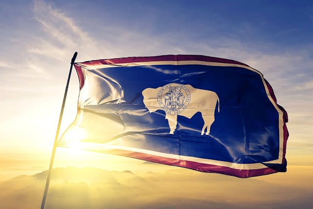 /should-you-incorporate-your-llc-in-delaware-or-wyoming-deep-dive-kubg32do feature image
