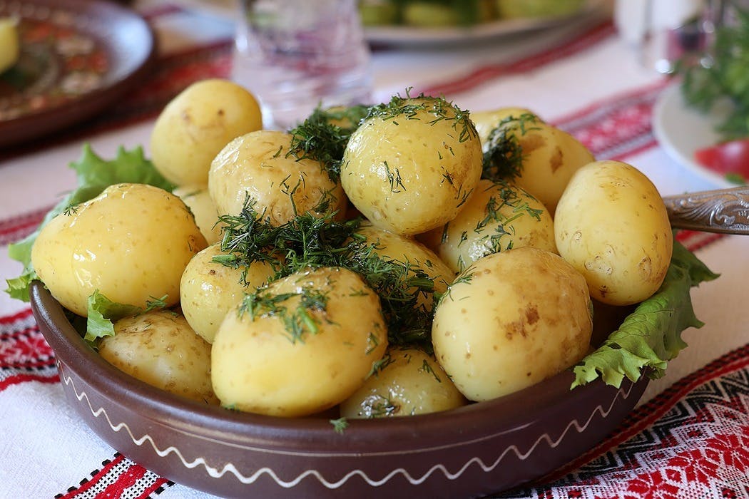 /traditional-ukrainian-food-beginners-guide-6w27329i feature image