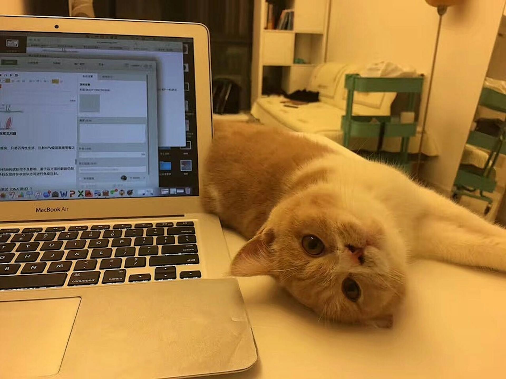 featured image - Lessons From GitLab—A $1 Billion Business With 700 Remote Employees