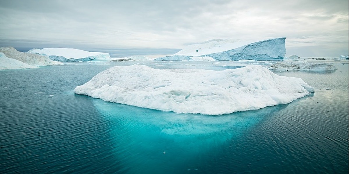 featured image - What does it mean to be an Open Startup?