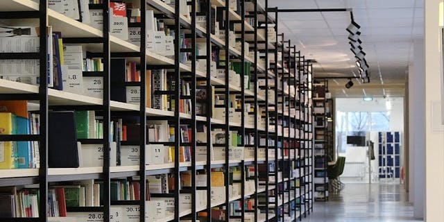 /data-organization-the-great-differentiator-in-the-digital-era-v6bc30co feature image