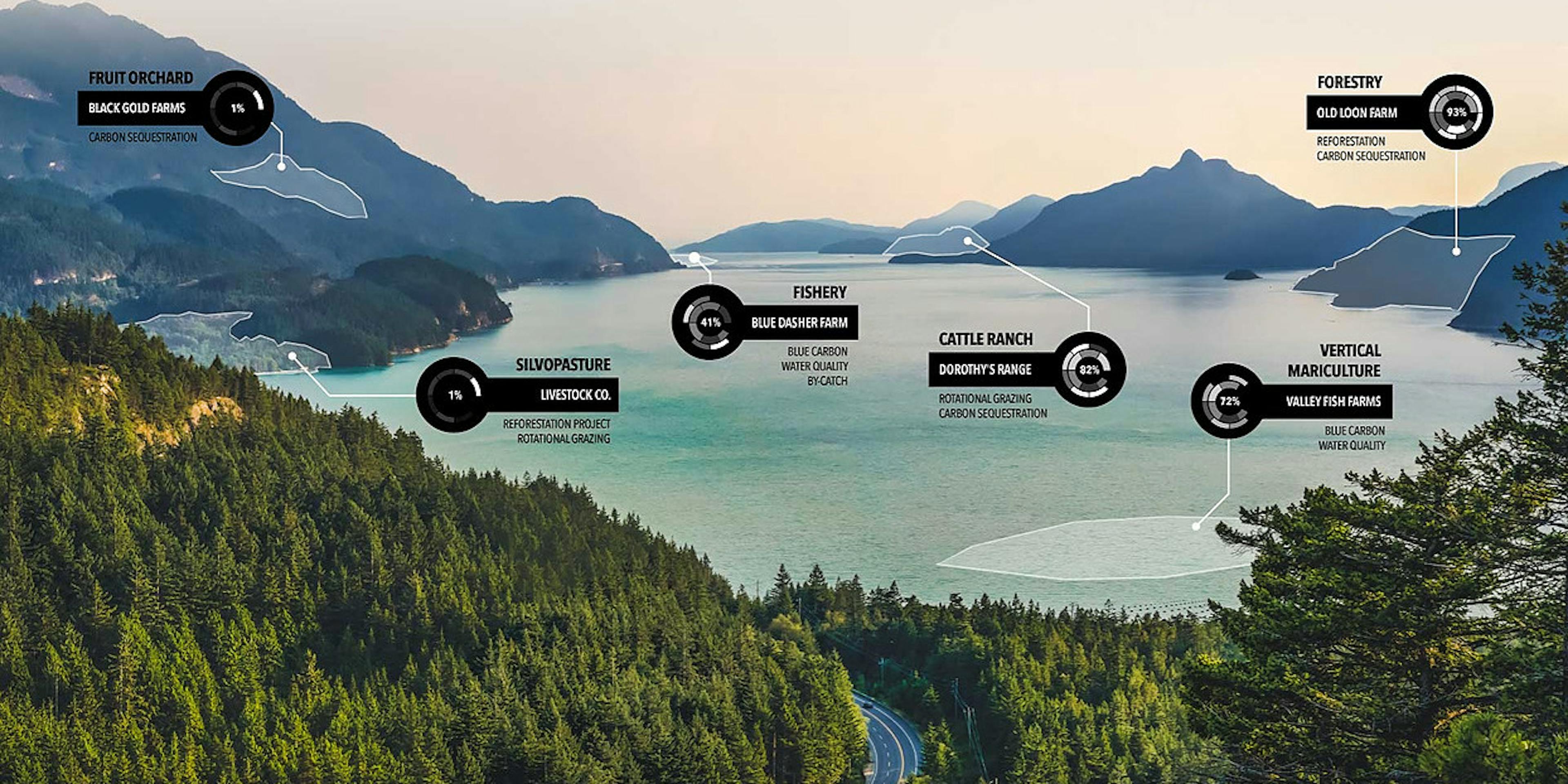 /how-blockchain-could-create-incentives-to-protect-the-environment-7x2b72cvy feature image