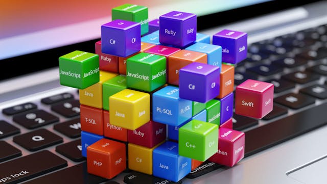 /how-to-learn-all-programming-languages-yes-all-c41j3t8l feature image