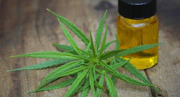 /how-advances-in-technology-and-cbd-can-expand-the-wellness-market-m35v328r feature image