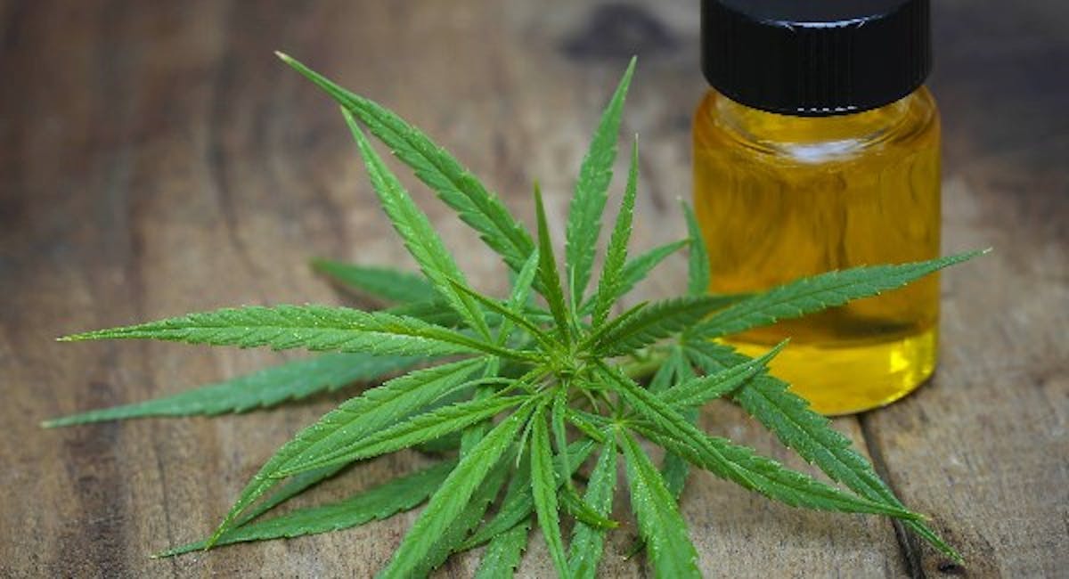 featured image - How Advances in Tech and CBD Are Growing the Health Sector