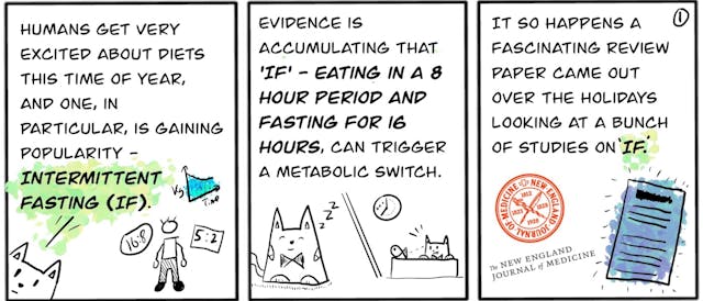 /effects-of-intermittent-fasting-on-health-ageing-and-disease-comic-yx1k3xle feature image