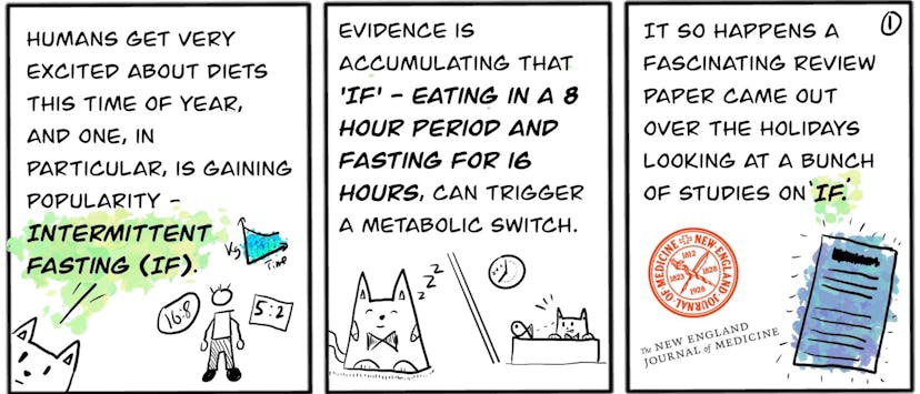 /effects-of-intermittent-fasting-on-health-ageing-and-disease-comic-yx1k3xle feature image