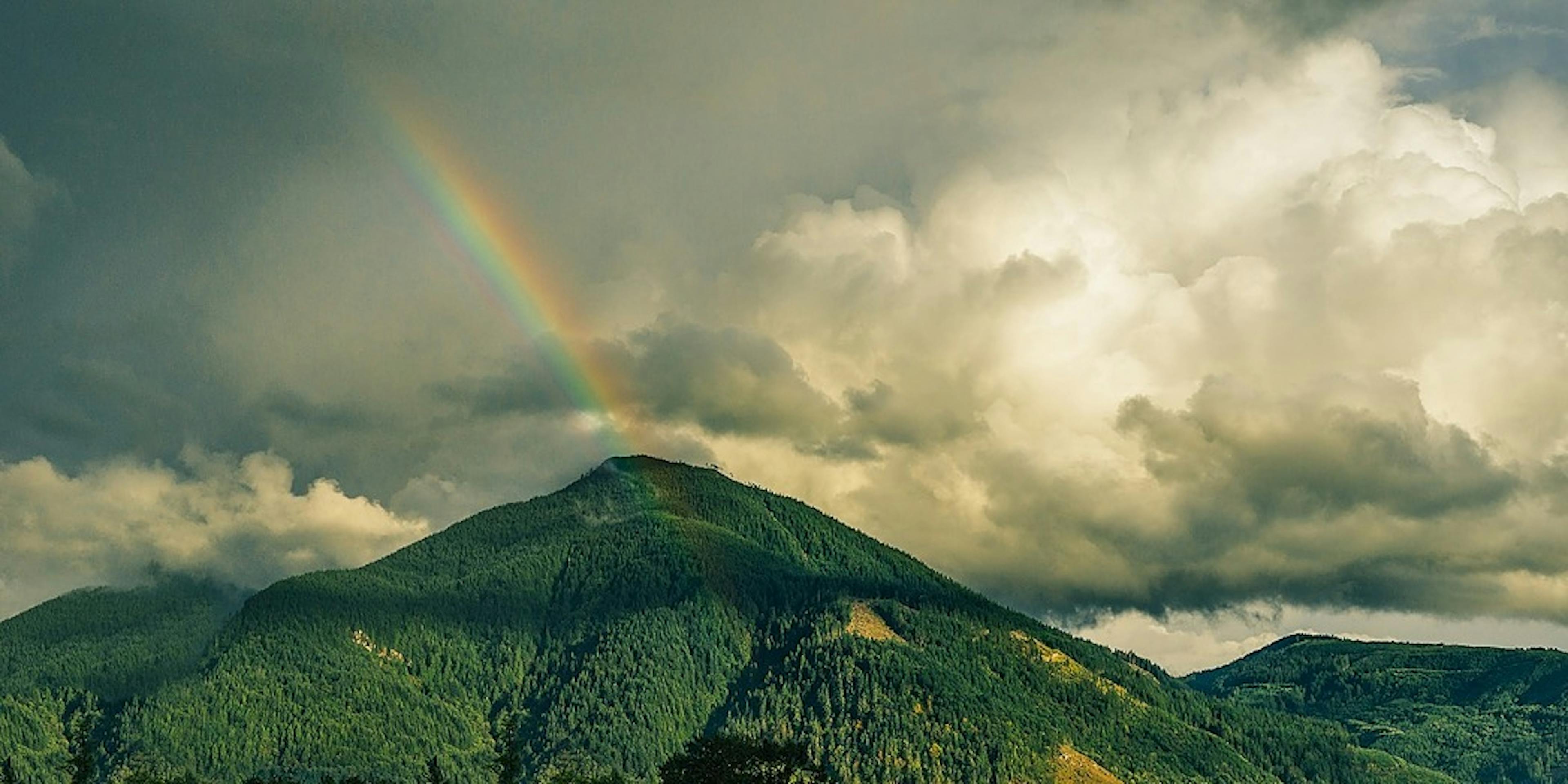 featured image - The Cloud-Native & DevOps Approach in Regulated Industries