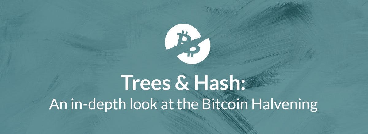 /trees-hash-an-in-depth-look-at-the-bitcoin-halvening-1b5877334a0e feature image