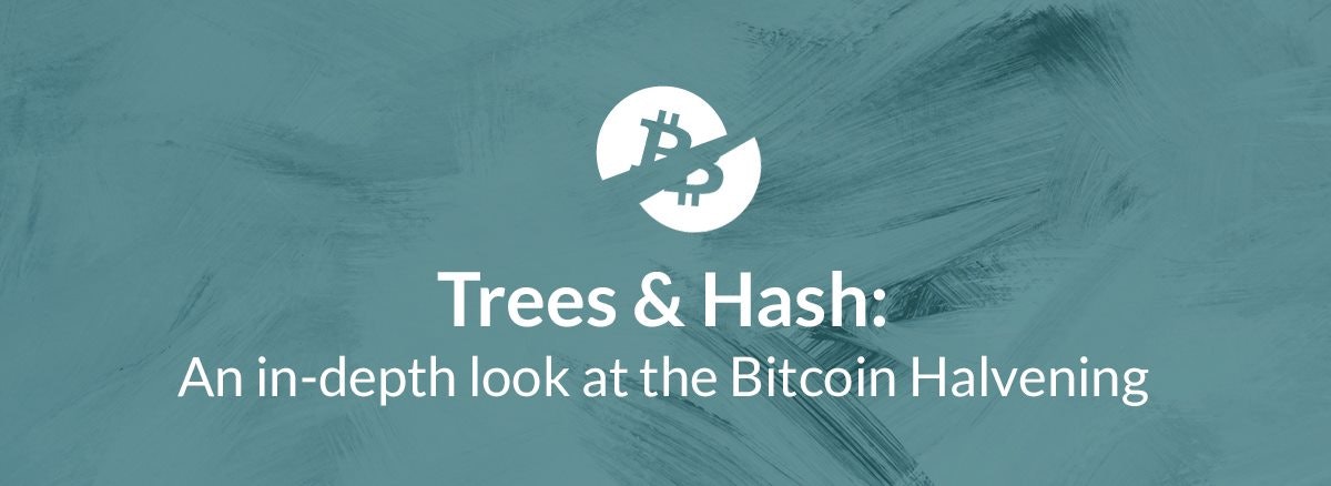 featured image - Trees & Hash: An in-depth look at the Bitcoin Halvening