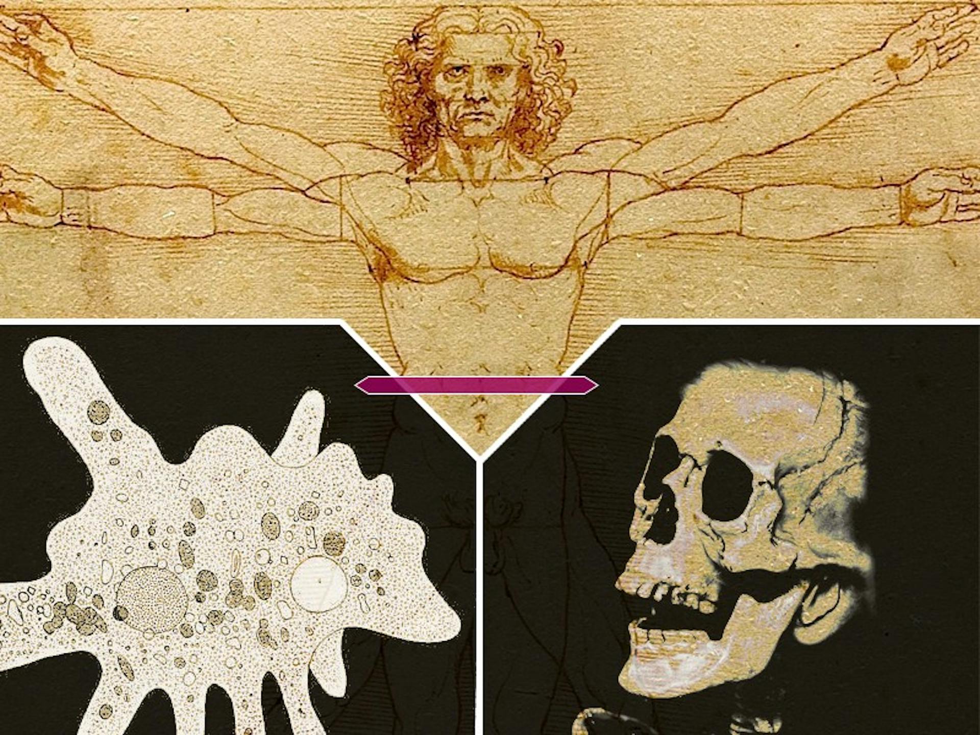 featured image - Strange Loops and Blockchains