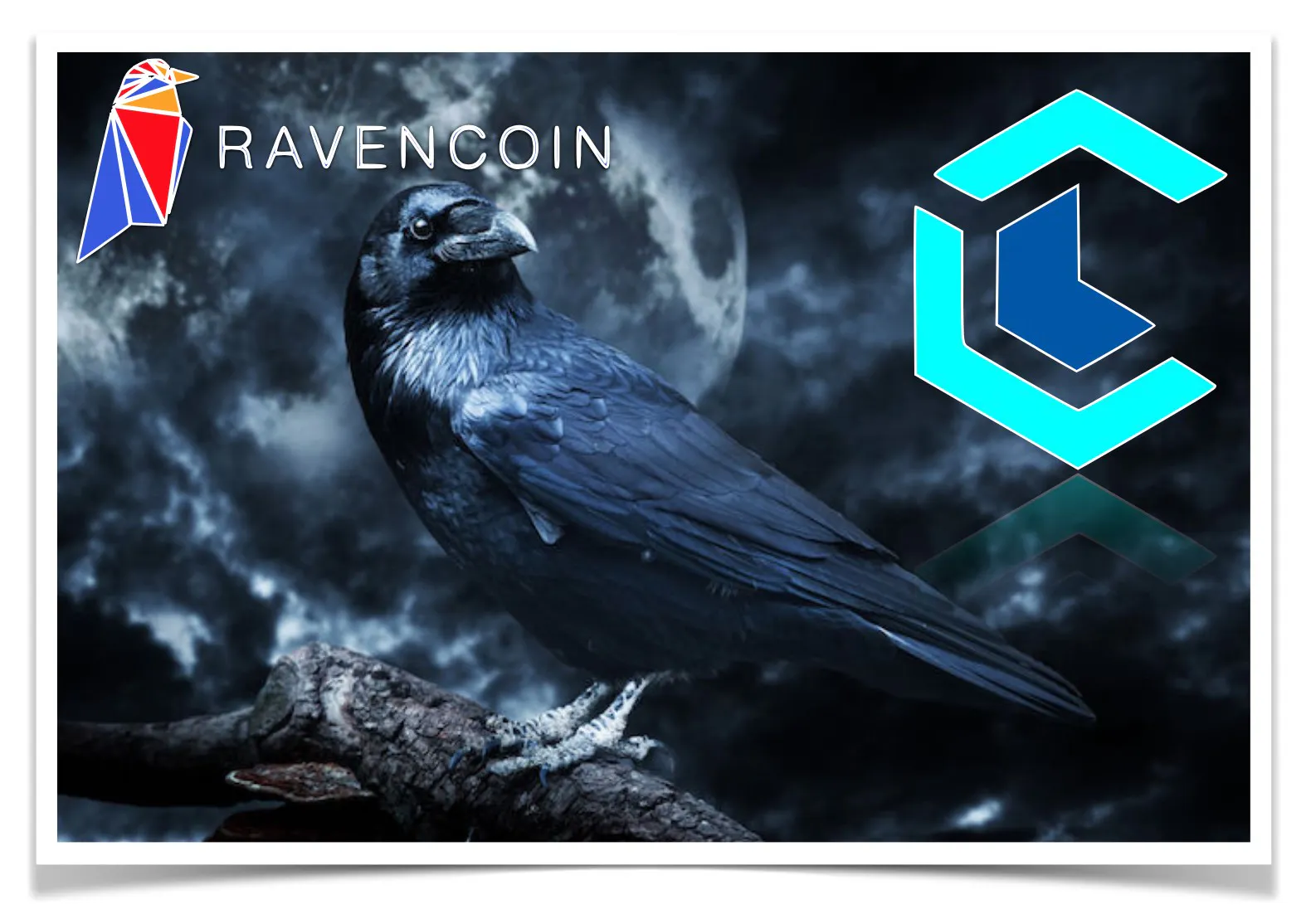 Ravencoin Review — A Bitcoin Code Fork Looking to Bring Real-World Assets  onto Blockchain | HackerNoon