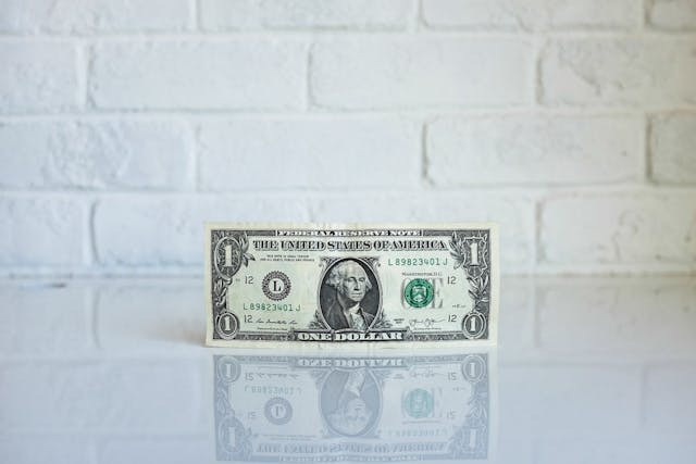 /how-to-make-more-money-as-a-software-developer-da9fc13944e4 feature image