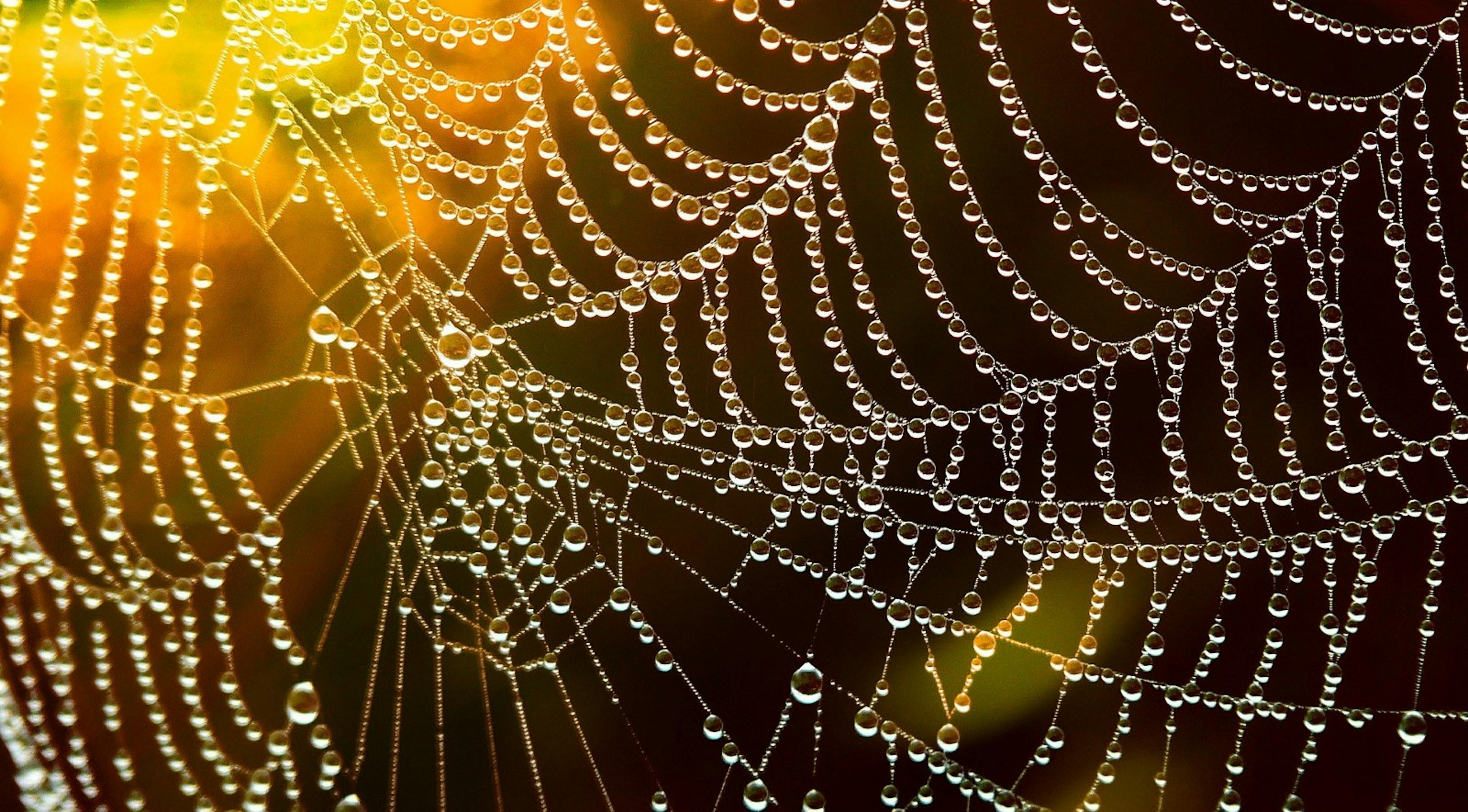 /life-like-anonymity-7910e0931707 feature image