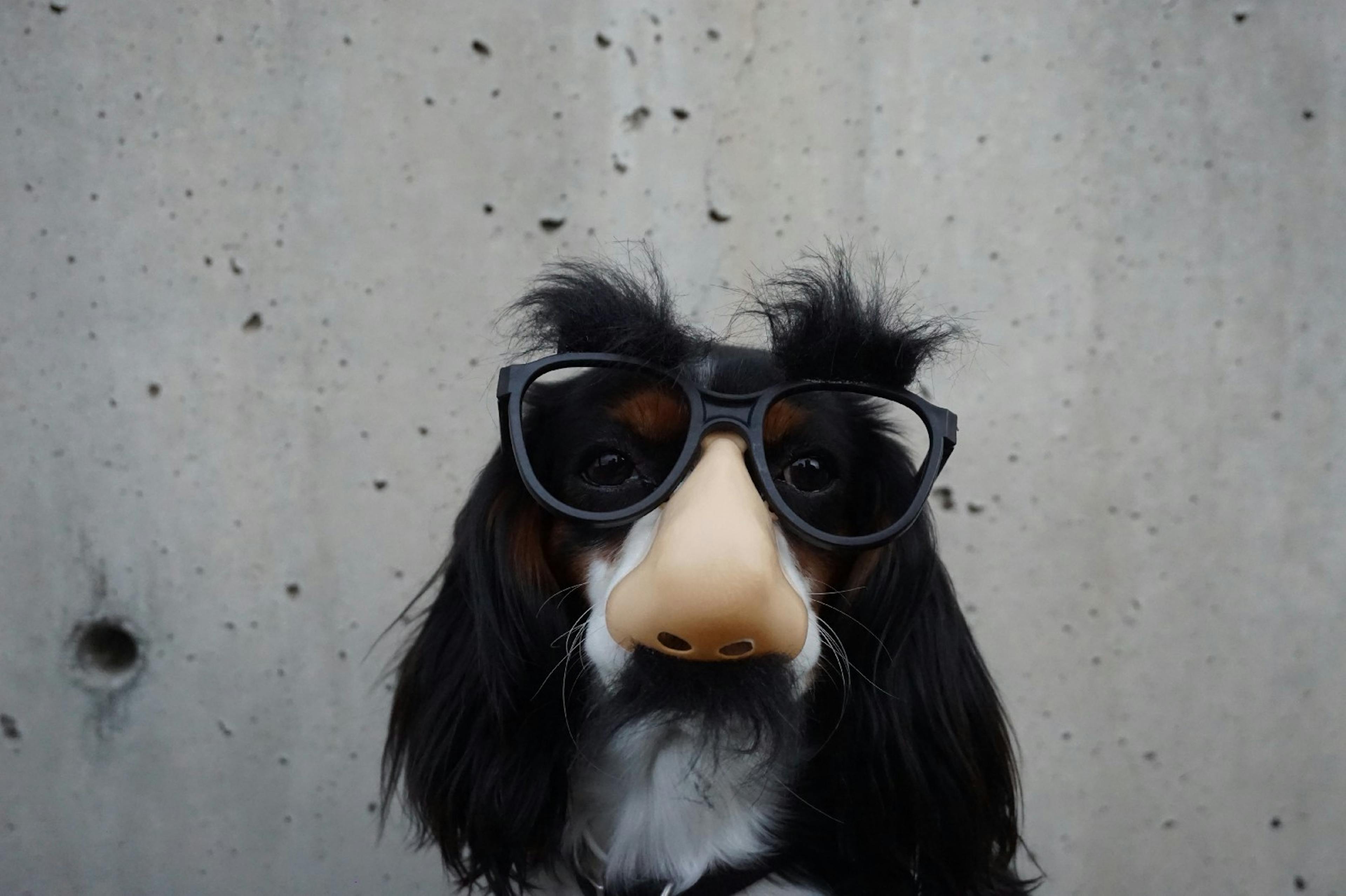 featured image - Debunking Ten Common Myths About a Career in Software Development