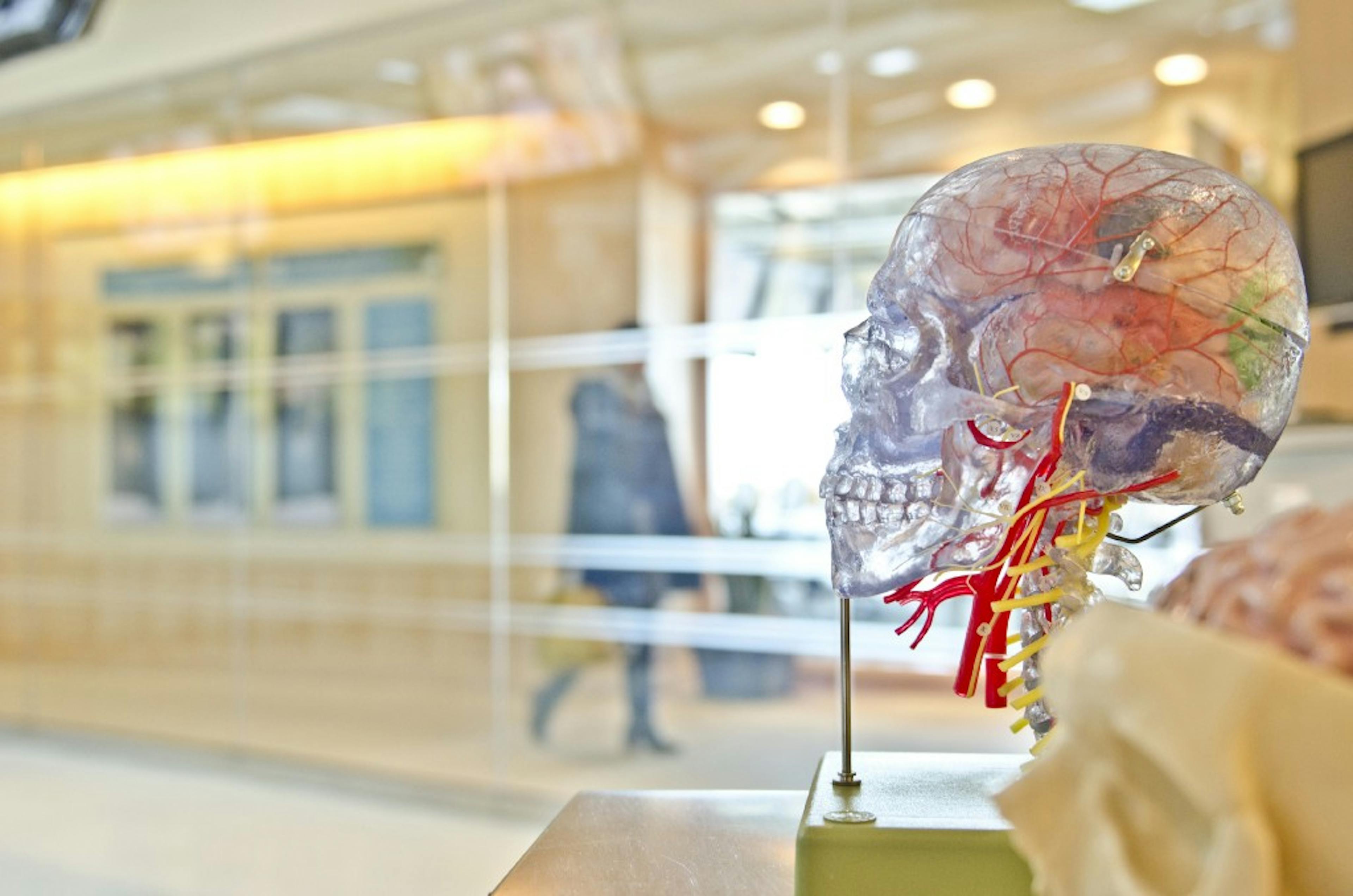 How the Internet Amplifies Our Cognitive Biases