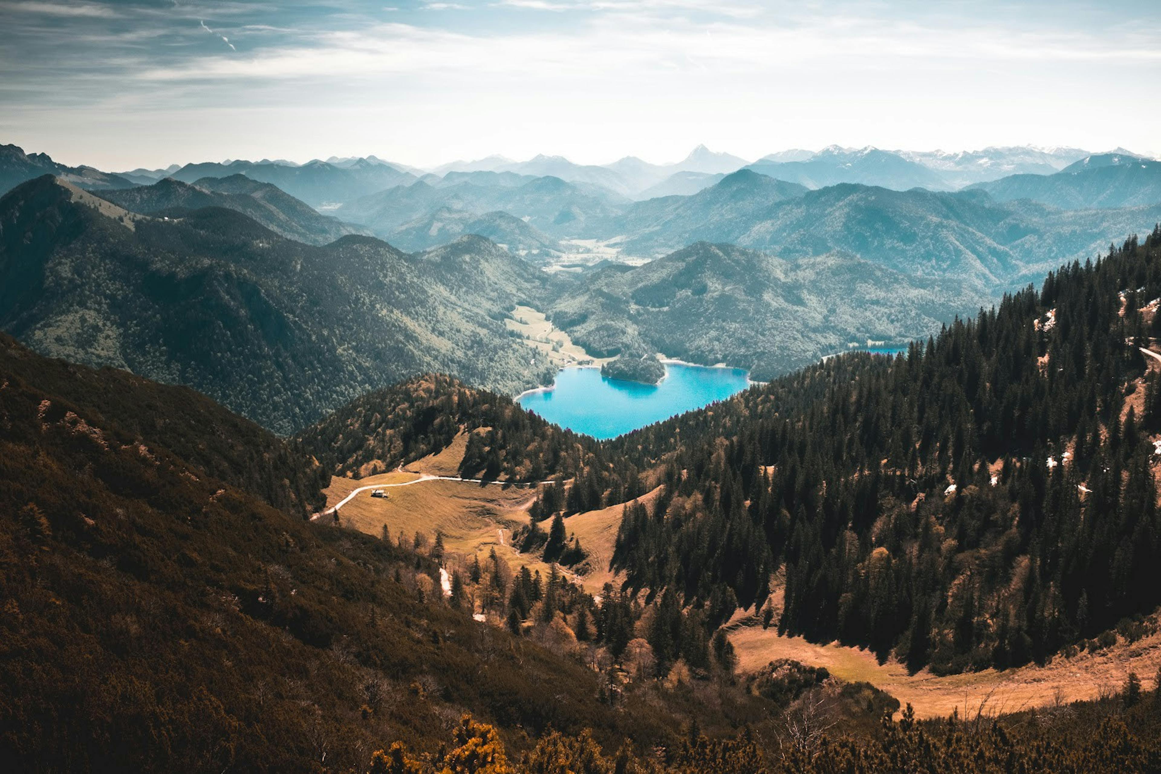 Micro-Habits Changed My Life