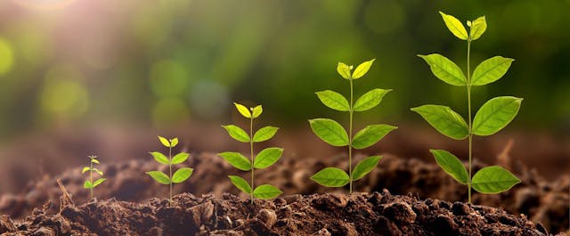 /becoming-awesome-creating-a-culture-of-continuous-improvement-c2a4d0288c99 feature image