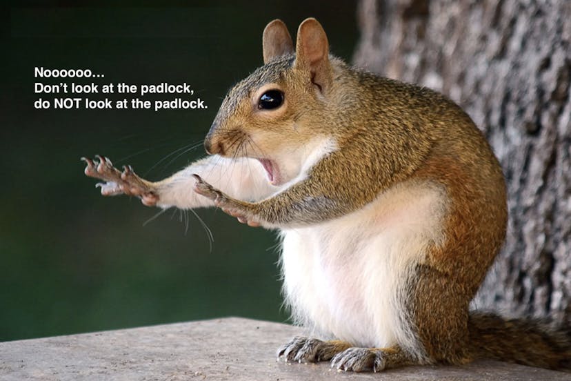 /a-rhetorical-question-about-the-effectiveness-of-our-security-solutions-1a1d3447e798 feature image