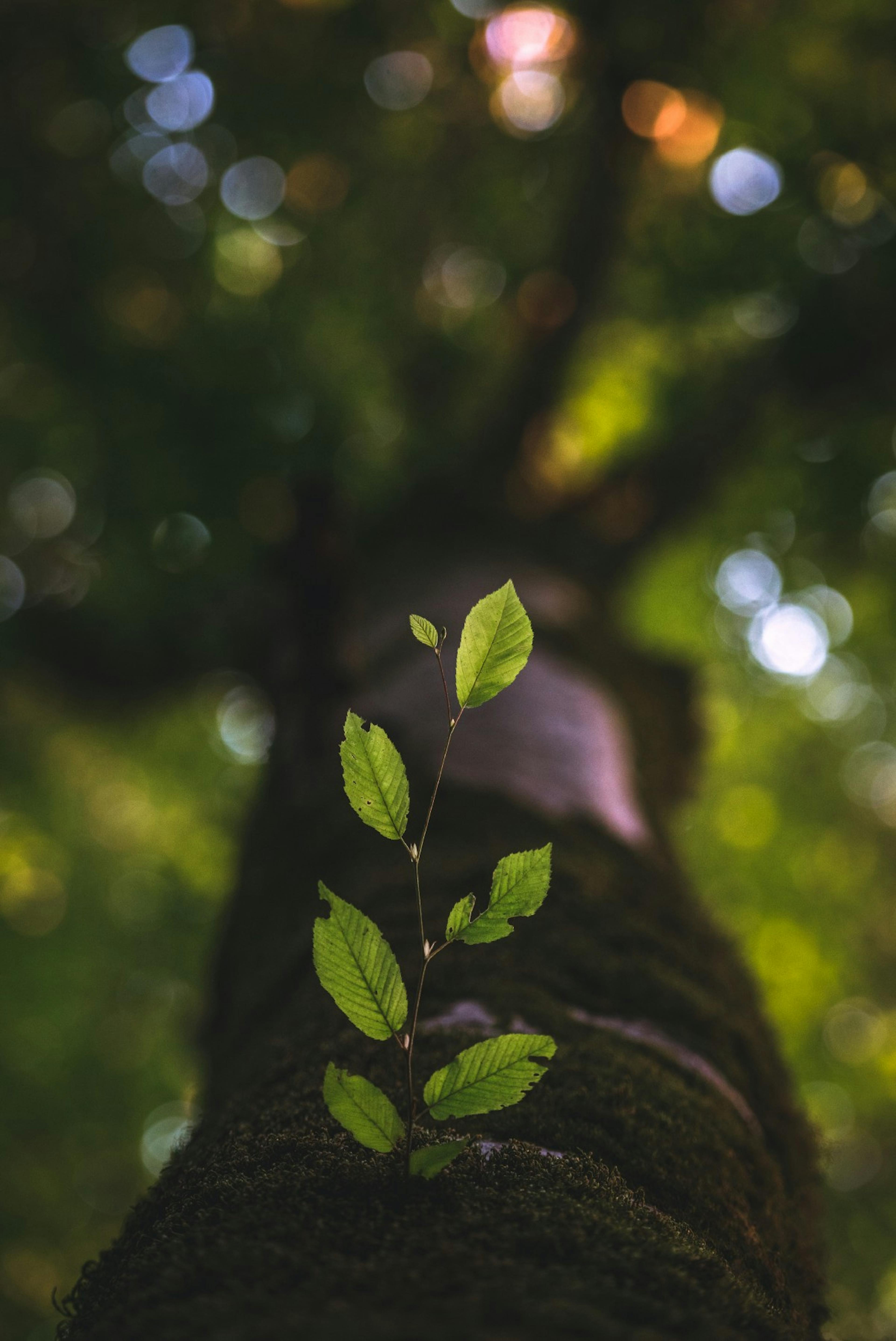 3 Ways The Nonprofit World Prepared Me To Lead Growth Efforts At A Startup