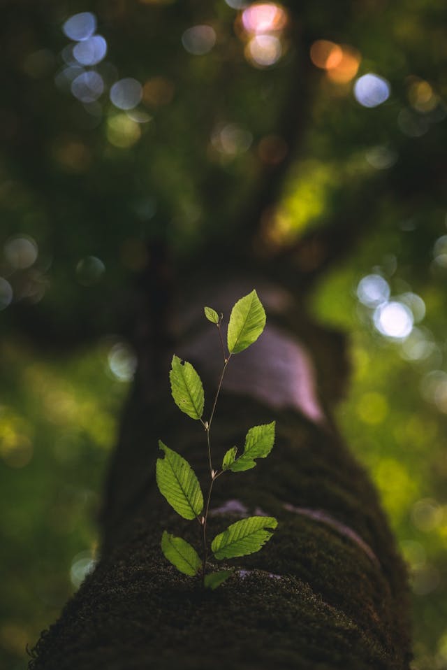 /3-ways-the-nonprofit-world-prepared-me-to-lead-growth-efforts-at-a-startup-5964806c7391 feature image