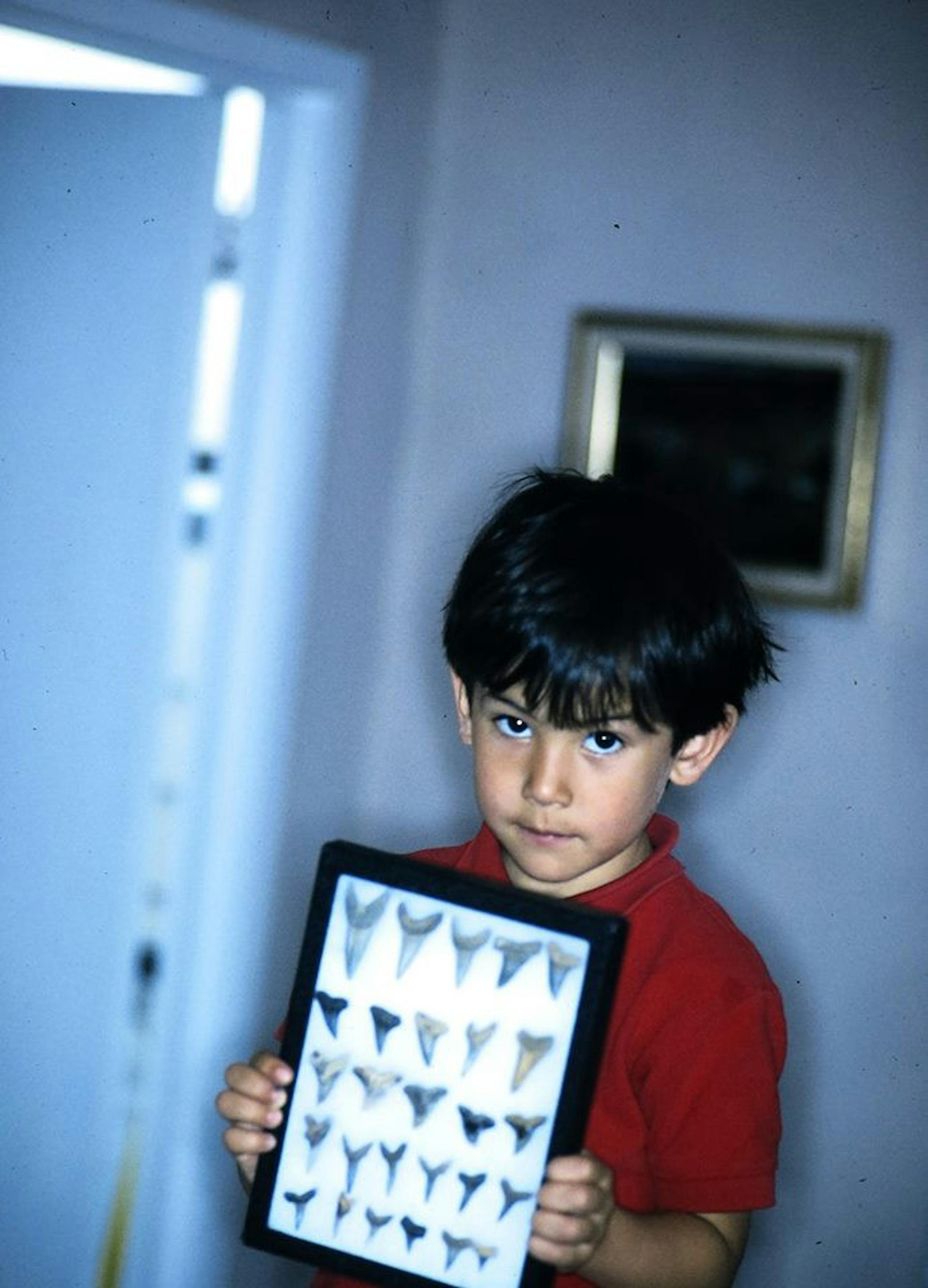 I’ve always been a collector.