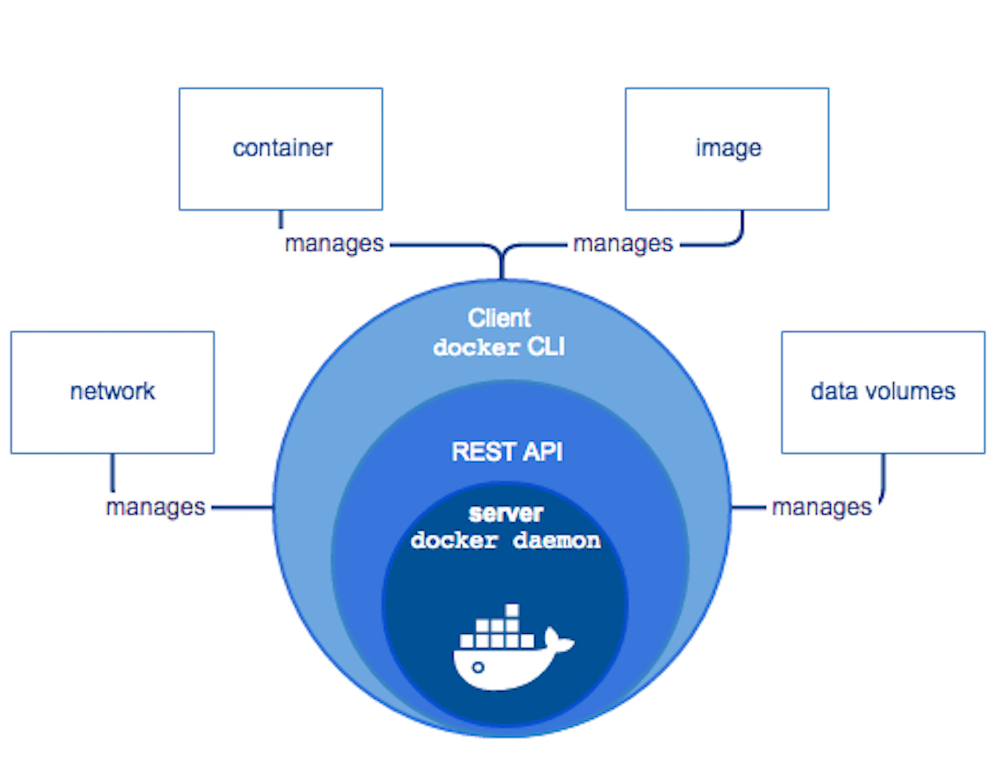 featured image - Hello Docker
