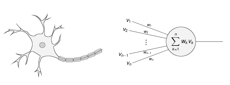 /how-do-artificial-neural-network-recognize-images-c3699af0f553 feature image
