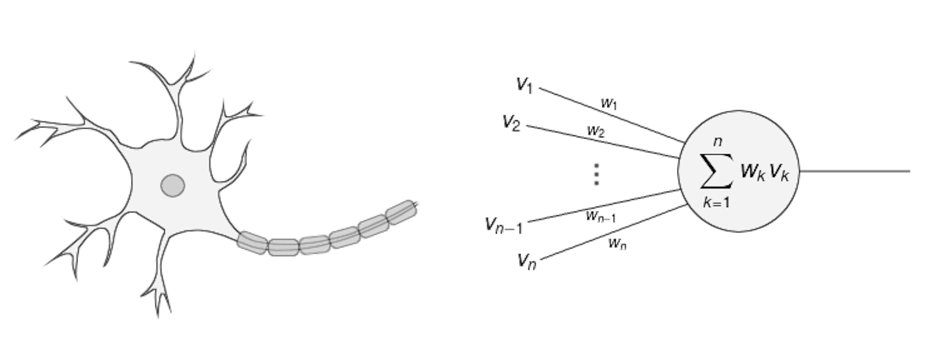 featured image - How Do Artificial Neural Network Recognize Images