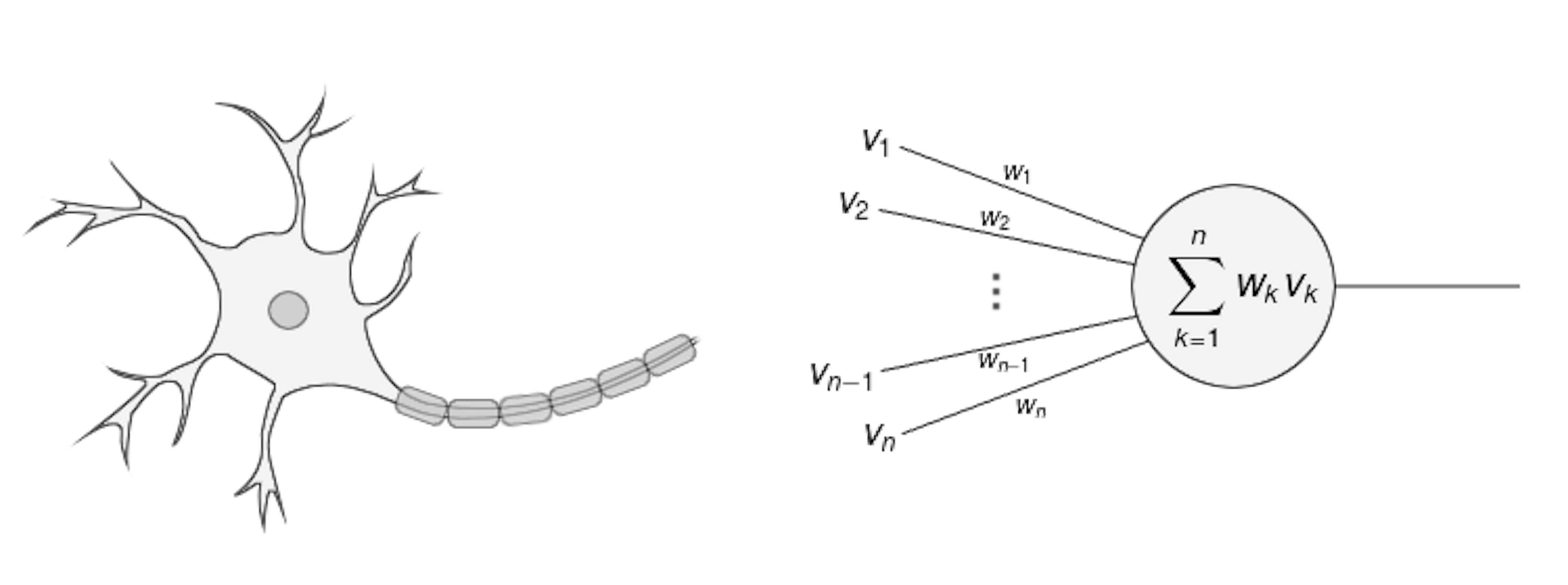 How Do Artificial Neural Network Recognize Images