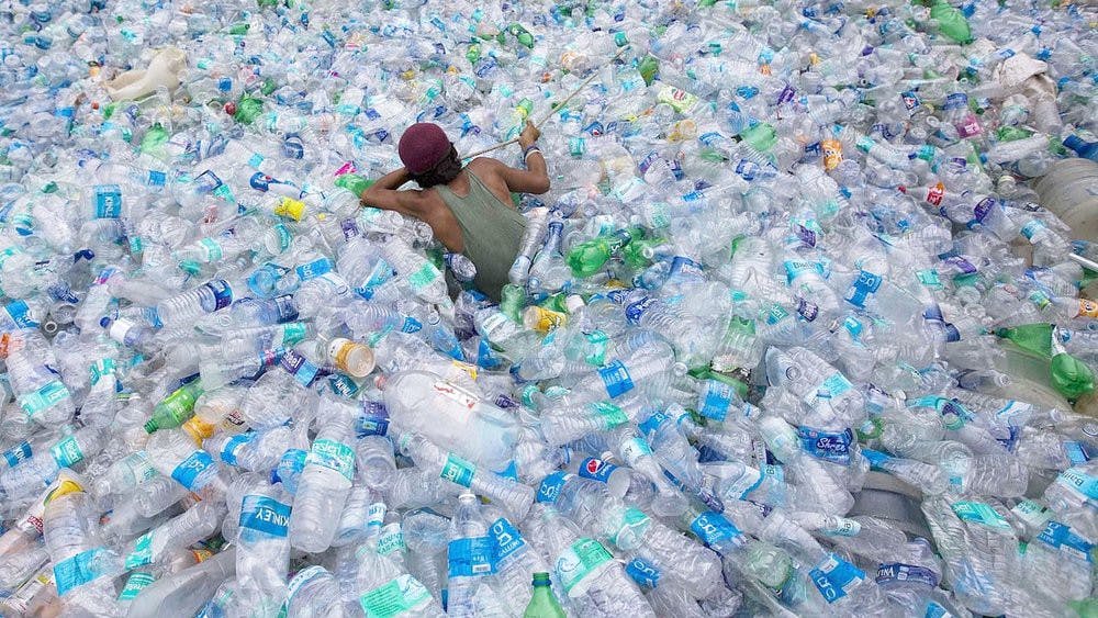 featured image - How we can easily stop plastic waste now