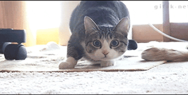/state-of-the-web-animated-gifs-b8ef0d61f8a0 feature image
