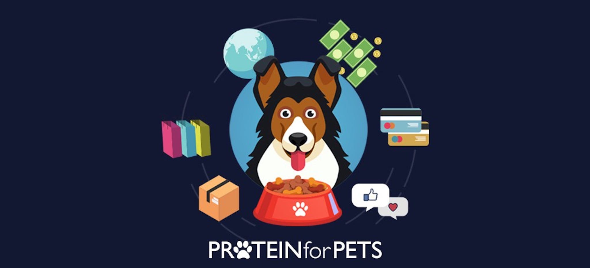 featured image - How We Built an $800K per month E-commerce Application for Pet Food