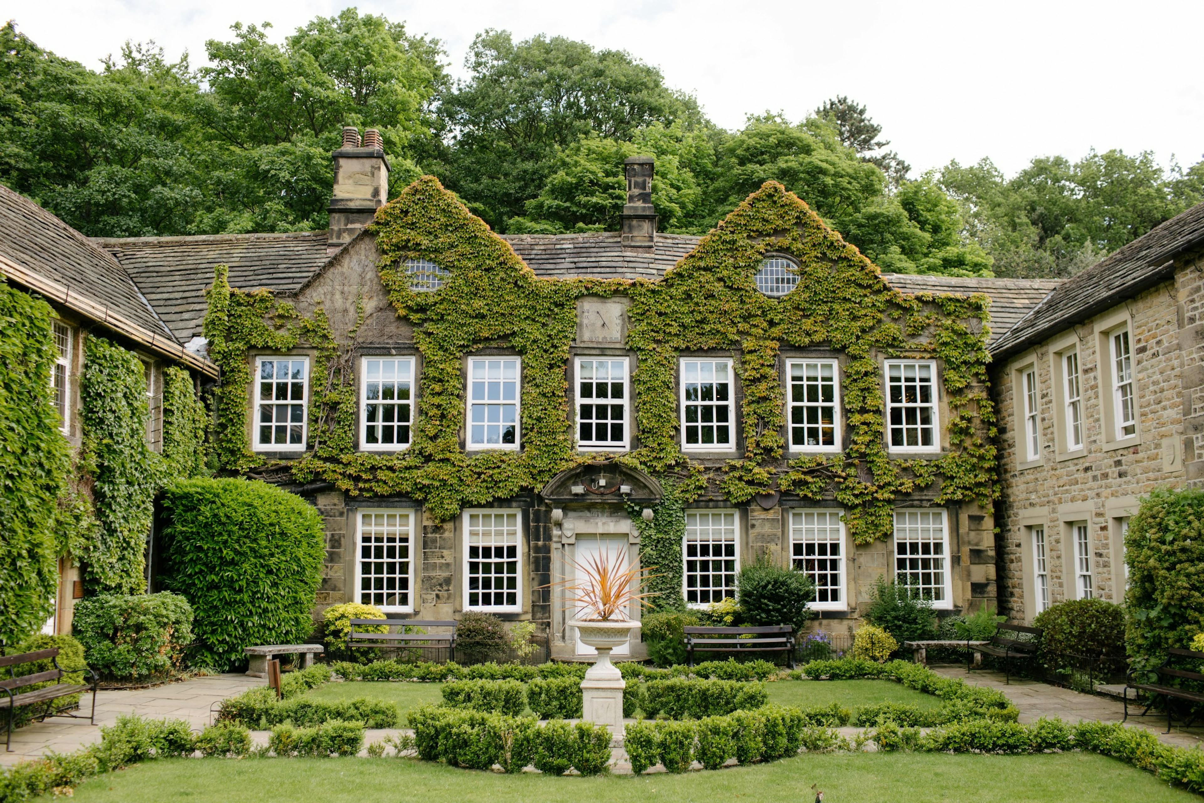 featured image - Trees Or Mansions: The 1 Check-In Exercise I Use To Stay Grounded As An Entrepreneur