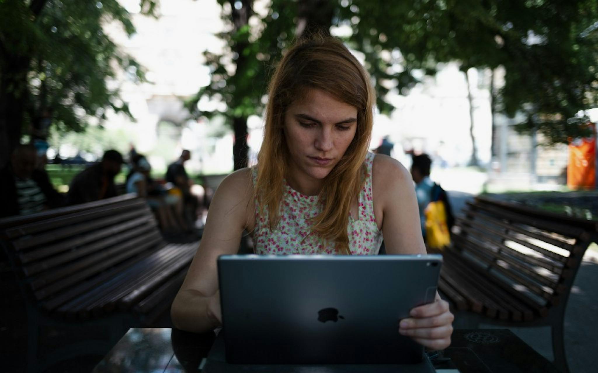 featured image - How to Build a Product in Public
