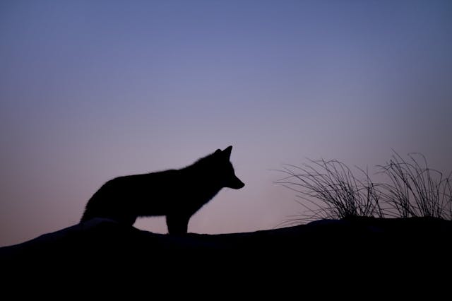 /how-to-get-noticed-in-the-javascript-world-aec7d382b005 feature image