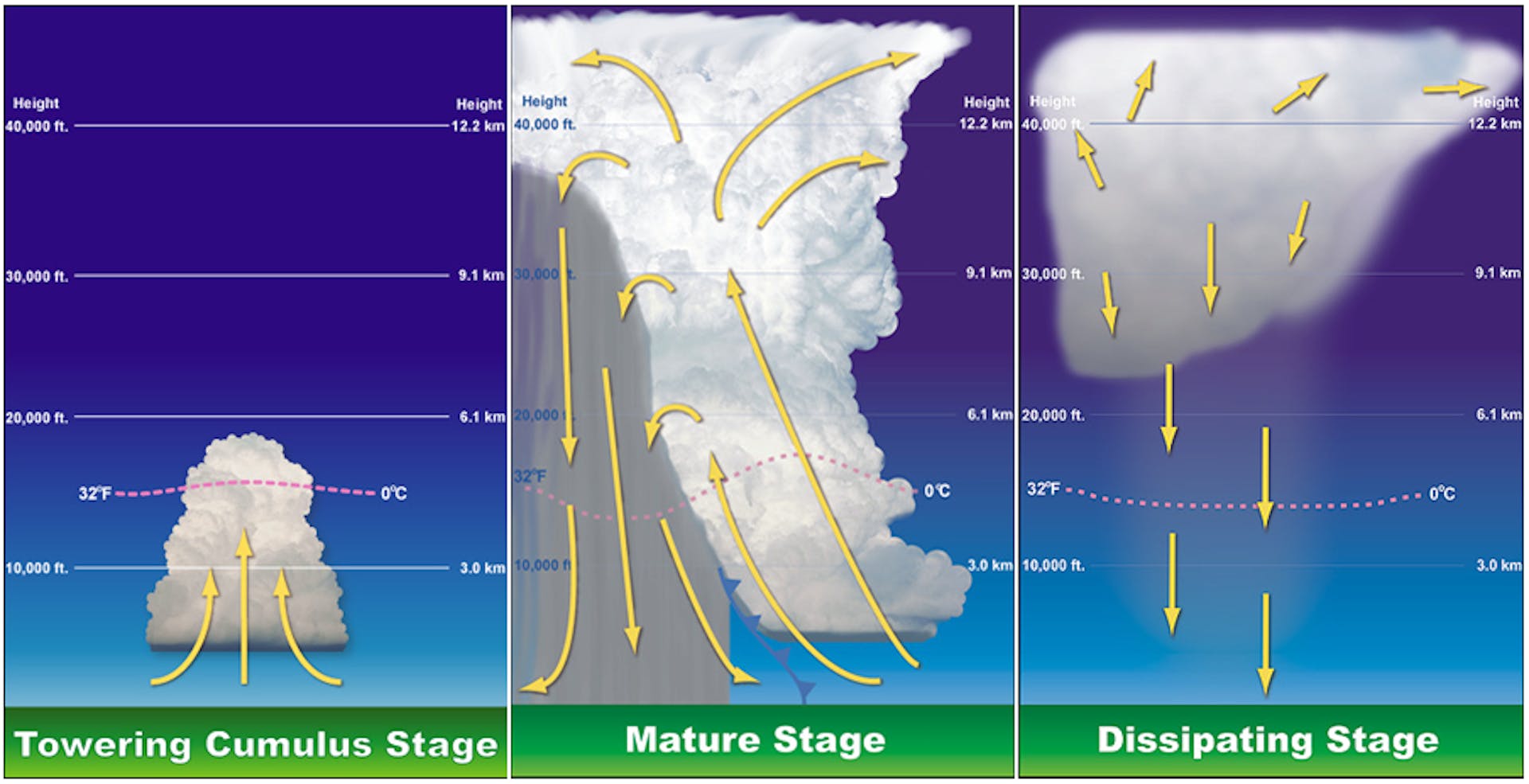 featured image - Bitcoin: The Gathering Storm