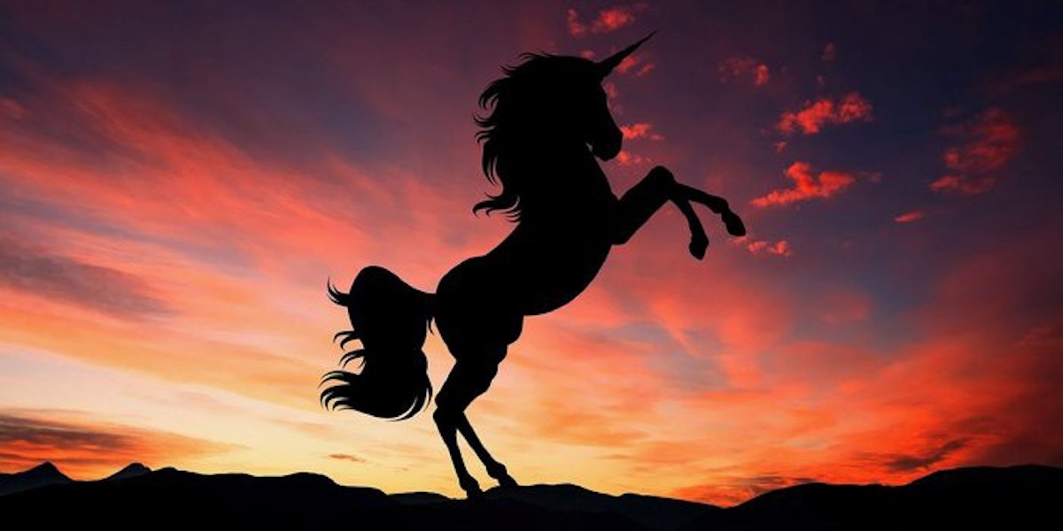 featured image - Five Lessons to Learn From Successful Unicorn Startups