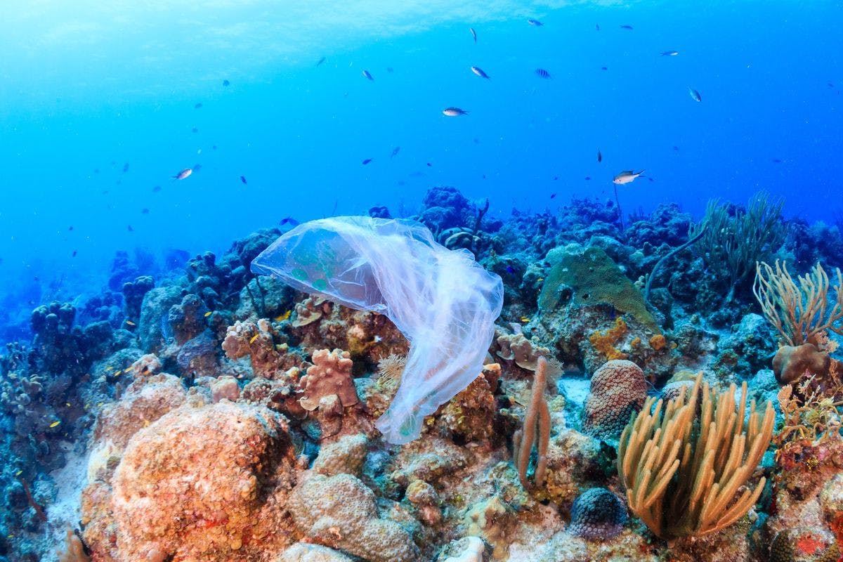 featured image - Combating Plastic Pollution using Technology