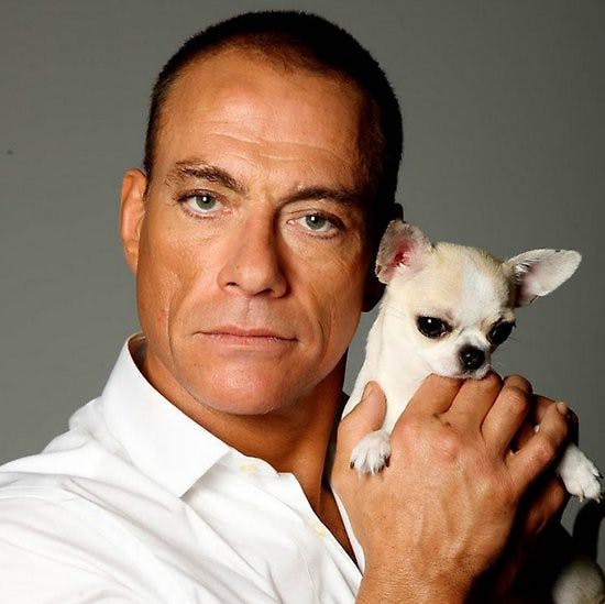 /crowd-source-your-decor-with-serverless-and-lightbulbs-cb27b34522e7 feature image