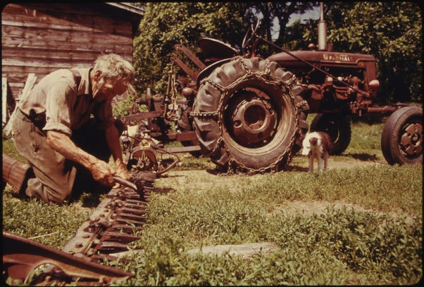 /automated-farms-the-future-of-sustainable-agriculture-bffac5345a68 feature image