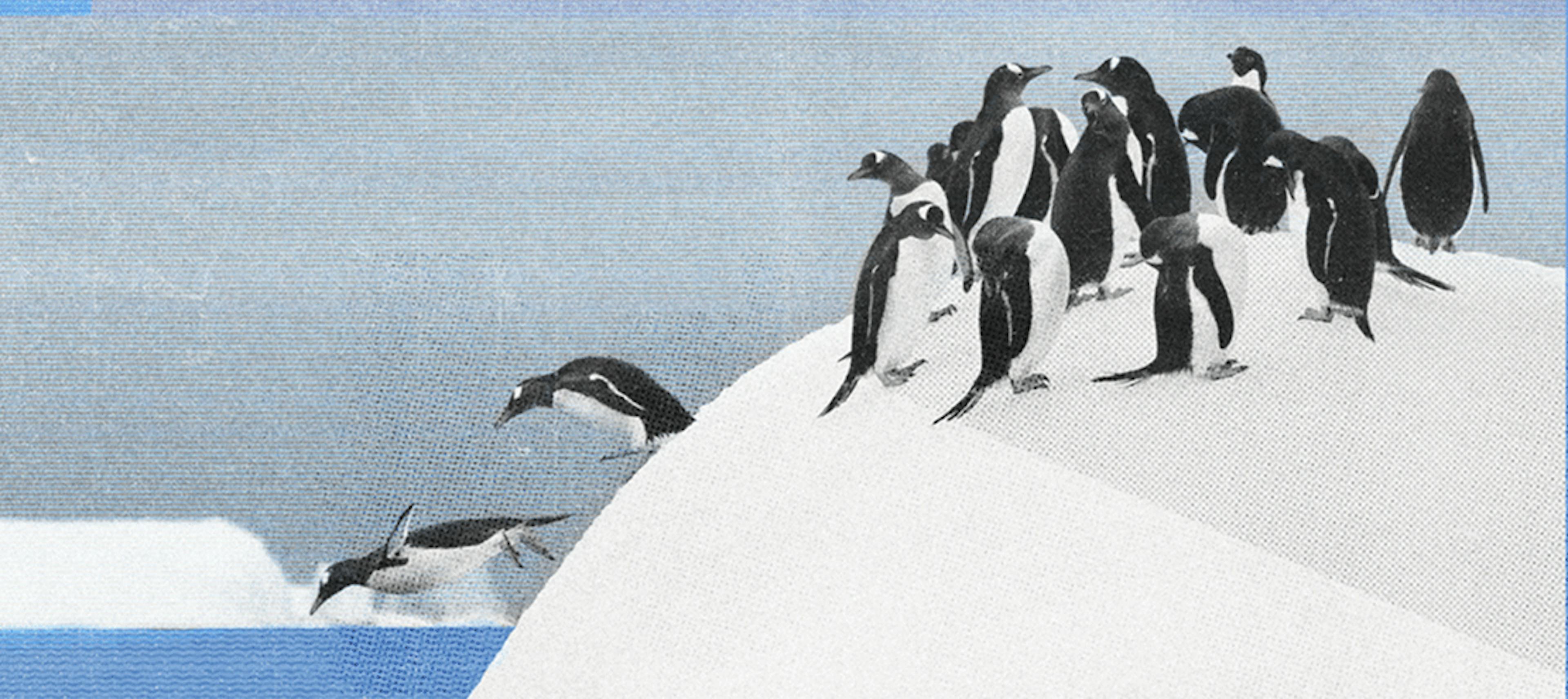 featured image - 4 Benefits of Customer Segmentation for Higher Profitability