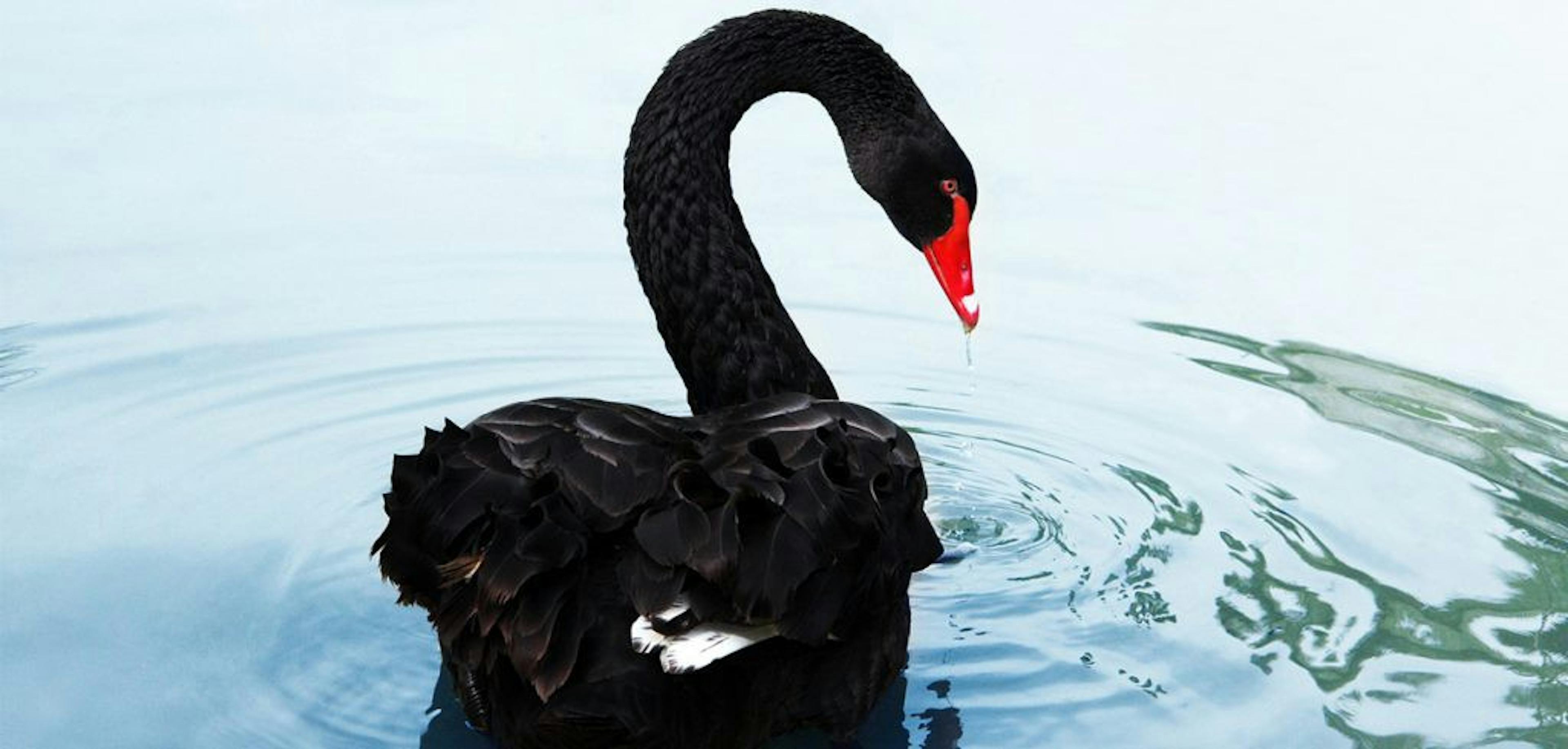 /security-token-superpowers-part-2-30ffcdd4acac feature image