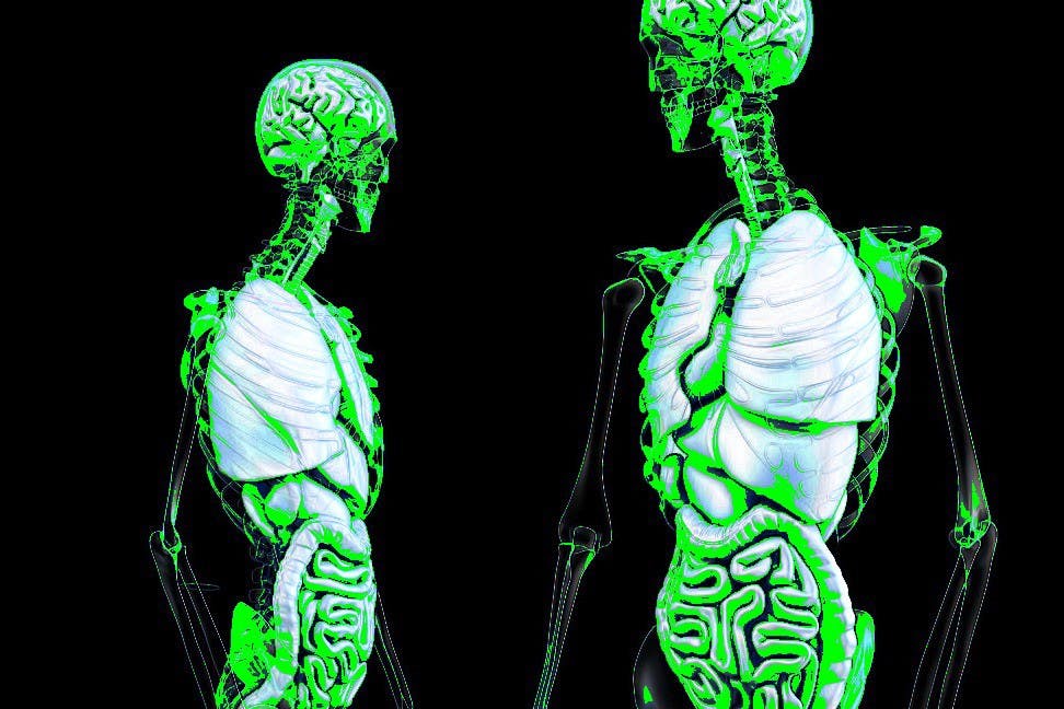 /the-4-core-research-areas-of-medical-informatics-7961088a607d feature image