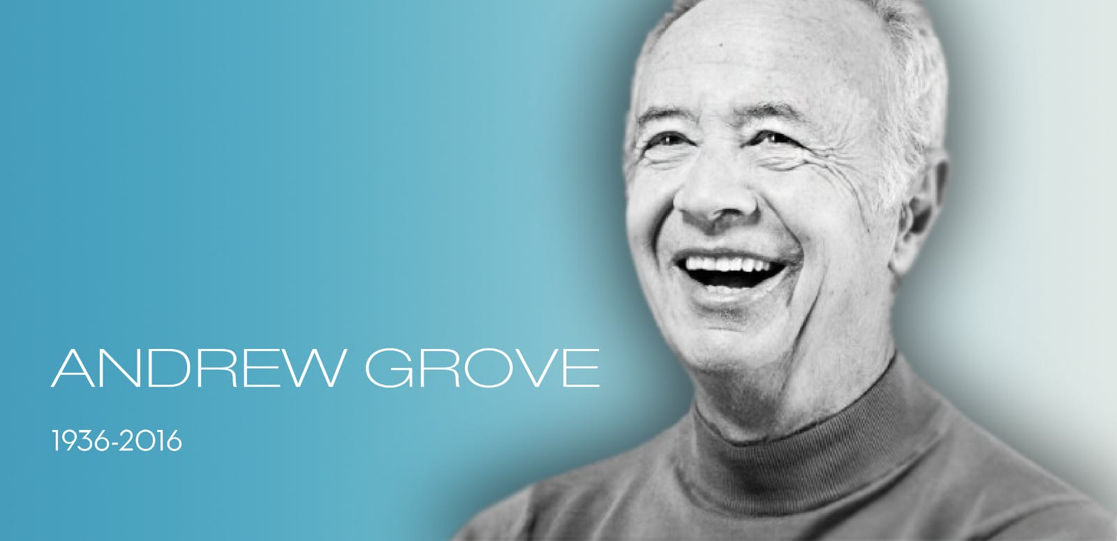 /disagree-and-commit-the-importance-of-disagreement-in-decision-making-b31d1b5f1bdc feature image