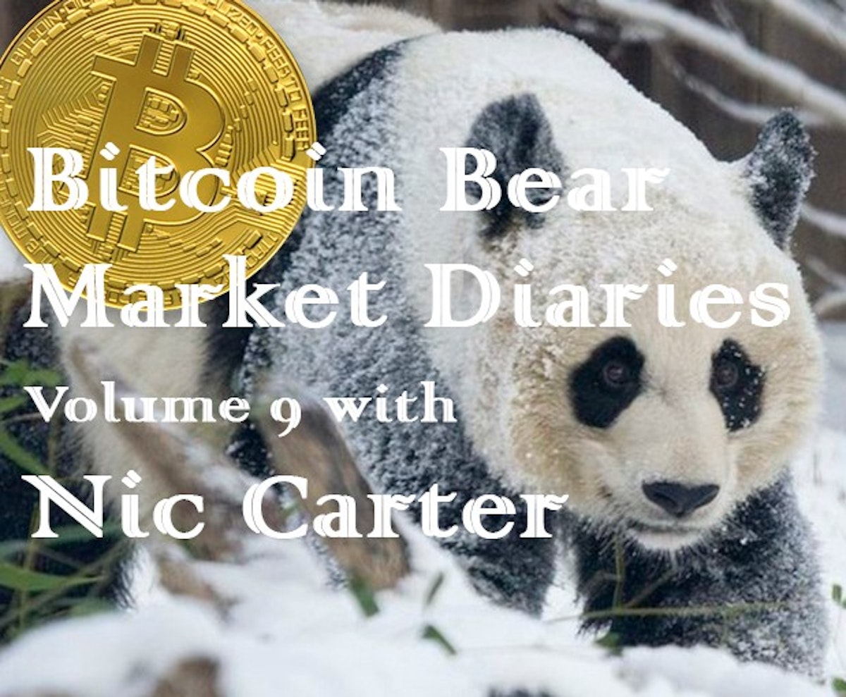 featured image - Bitcoin Bear Market Diary Volume 9 with Nic Carter